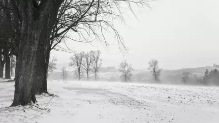 Сильная метель и снегопады: во всем Казахстане 13 декабря ухудшится погода 