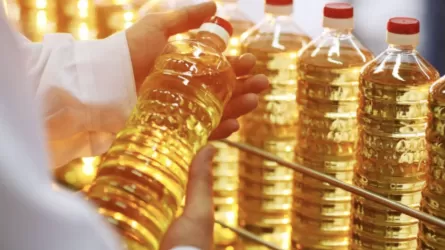 Қазақстан май өнімдері экспортын 1 млрд долларға дейін жеткізуді жоспарлап отыр