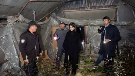 Дочь президента Узбекистана вышла в ночной рейд