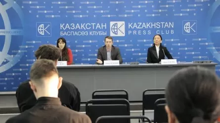 Казахстан может потерять сотни тысяч ИП уже в 2026 году