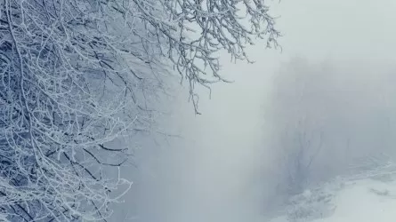 Штормовой удар по Казахстану: снег, метель, туман и гололед