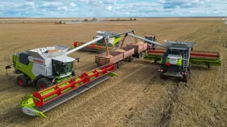 Фермерлер бидай сату жоспарын орындай алмады