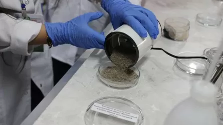 Сельхозотходы стали источником инновационных материалов в РК 