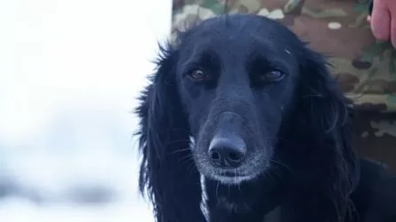 Как тазы служит казахстанской армии 