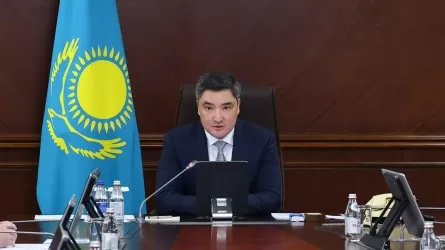 «1 гектар артық егілсе, біз оған бір тамшы су да бермейміз»: Олжас Бектенов диқандарға үндеу тастады