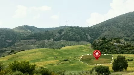 Простаивающие годами угодья обошлись фермеру судом и потерей земли