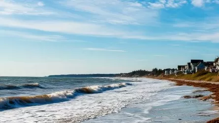 Турбазы Алаколя начала "поедать" стихия