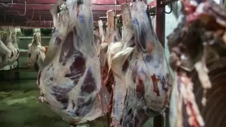 Казахстан продлил ограничения на вывоз говядины 