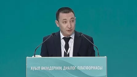 36 жастағы әкім ауылға 345 млн теңге инвестиция тартқан