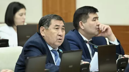 «Кит өлген Жаңа Зеландиядан сары май тасимыз»: Депутат мәселе көтерді