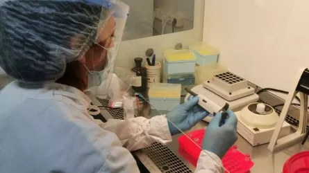 Эффективность лечения ВИЧ в Казахстане достигла рекордных показателей 