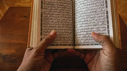 18 декабря &ndash; о мигрантах и арабском языке