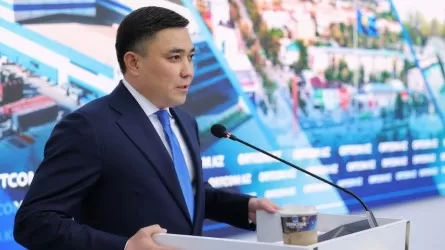 Биыл Шымкентте ШОБ-тан бюджетке 31 млрд теңге салық түсті