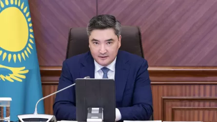 Үкімет халық қалаулыларының ұсынысын кезекті рет қабылдамады