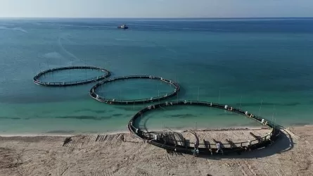 Каспий теңізі келесі жылы терең қазылатын болды