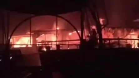 Трагедия в ночном клубе на Гоа: погибли 25 человек, включая туристов