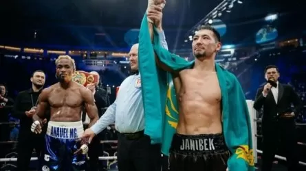 Жәнібек Әлімханұлының мансабында қанша табыс тапқаны белгілі болды 