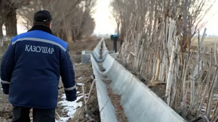 Водники модернизируют межхозяйственный канал в Туркестанской области  
