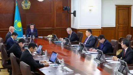 Үкімет басшысы Бухгалтерлер одағының ұсынысын қолдады