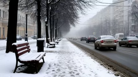 Туман, осадки и метель прогнозируют 31 декабря в Казахстане