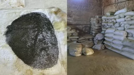 Түркістан облысында цехтан 40 қап насыбай тәркіленді 