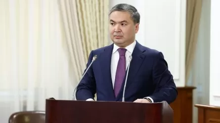 Жеңілдетілген несиемен өңдеуші өнеркәсіптің 116 жобасы қамтылды – министр