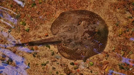 Робота-ската с гибким туловищем создали ученые