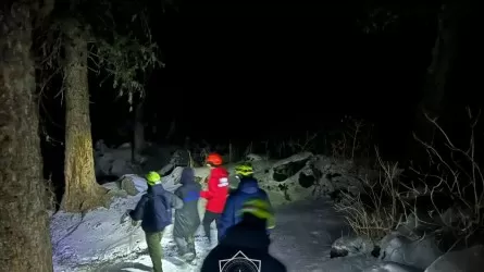 Потерялся на горном маршруте: спасатели искали 18-летнего парня в ущелье Алмарасан