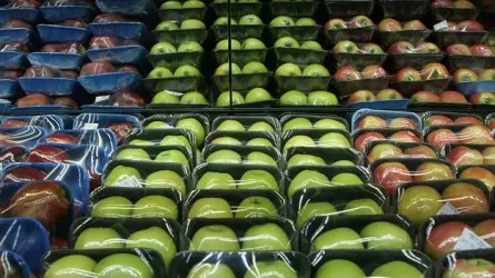 Сырттан келетін өнімге тым тәуелдіміз, бұған жол беруге болмайды – Қасым-Жомарт Тоқаев