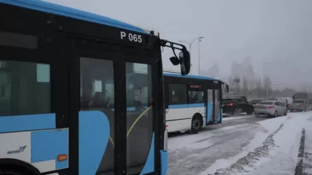 Астанада қала маңына қатынайтын автобустар тоқтады