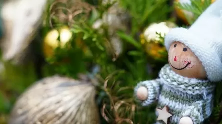 Новогодние каникулы в соседней стране планируют продлить до 12 января 