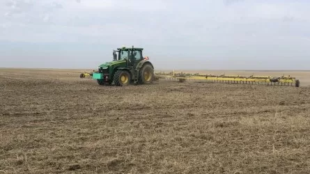 Павлодарлық шаруа құны 100 млн теңге болатын жерді мемлекетке қайтарды