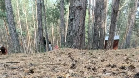 Кредитовать без процентов не получится - Роман Скляр ответил на предложение депутатов