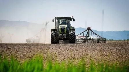 Фермерам открыли раннее финансирование на посевную 2026 года 