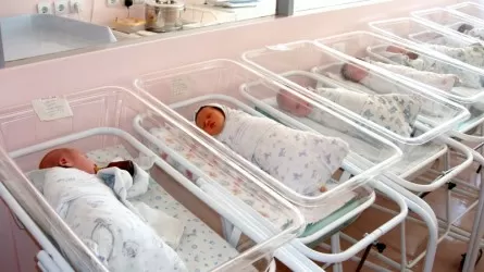 Қазақстанда демографиялық талдау орталығы құрылады