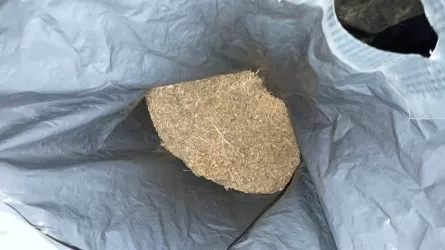 Полкило каннабиса нашли в салоне авто под Павлодаром 