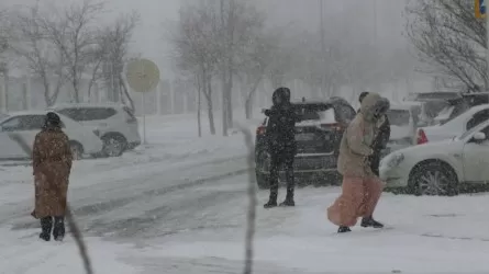Синоптиктер: Алдағы күндері қар жауады, бұрқасын болады