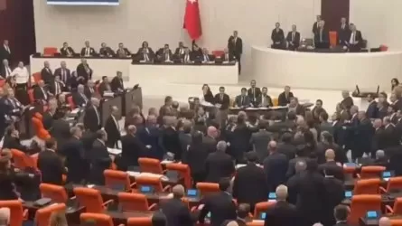 Түркияда депутаттар төбелесіп қалды