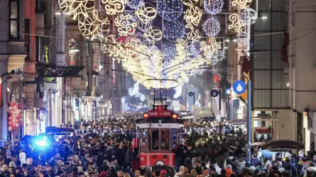 Ыстанбұлда Жаңа жыл алдында лаңкестік шабуыл ұйымдастырмақ болғандар ұсталды