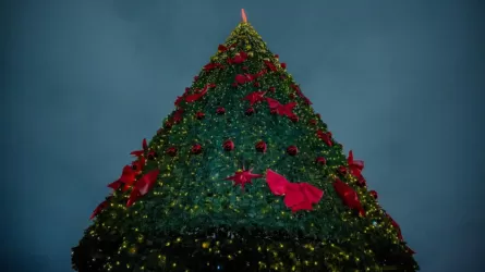 В Алматинском районе Астаны зажгли новогоднюю елку 