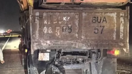 Алматы облысында жол апатынан қаза тапқан 7 адамның 5-еуі спорт ардагері болған