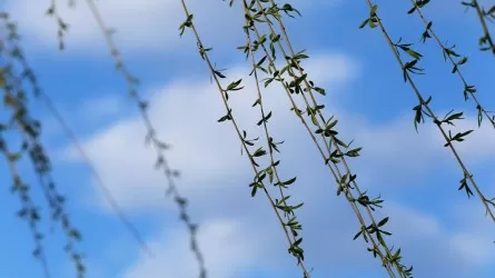 Точное время весеннего равноденствия в 2026 году назвали ученые 