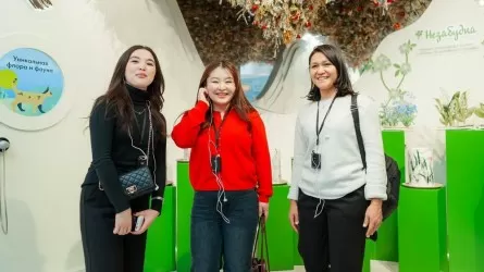 Соседняя страна запустит "Айтматовскую карту" по российскому образцу