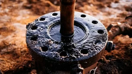 Мадуро ищет поддержку ОПЕК в споре с Вашингтоном 