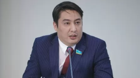 Көпшіліктің арын таптайтын блогерлерге әкімшілік емес, қылмыстық жаза керек – депутат