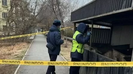 Кентауда қоқыстан жаңа туған нәрестенің денесі табылды