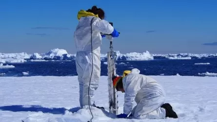 Гранты для науки возьмут под жесткий финконтроль в РК 