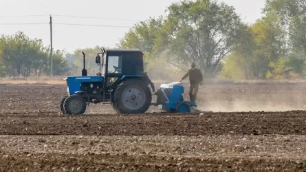 Более тысячи хозяйств уже подали заявки на льготное финансирование аграриев 