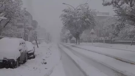 Турция столкнулась с масштабными перебоями в работе из-за сильных снегопадов 