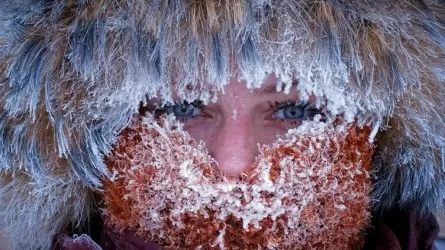 Арктический удар: морозы до −32°С и штормовая метель накроют ряд регионов Казахстана